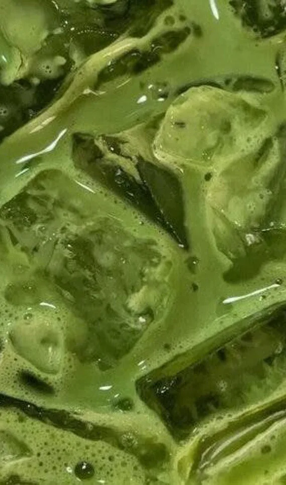 Matcha16 - New Design 91
